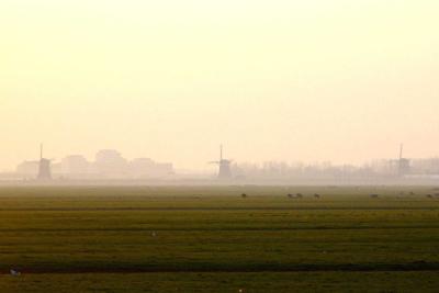 Three mills in distant fog