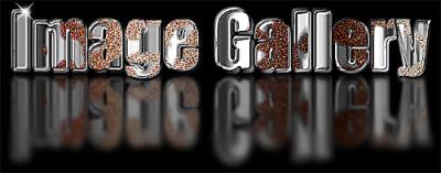Image Gallery logo