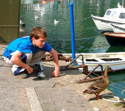 Boy with aluminium scooter observing bird, Padstow Harbour, June 2003