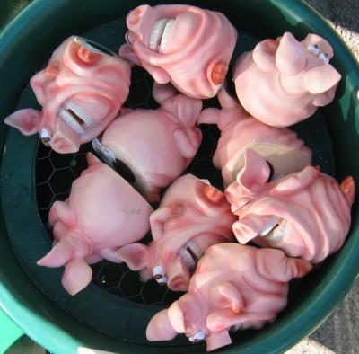 Plastic pigs heads - gift shop in Padstow - Sept 2003