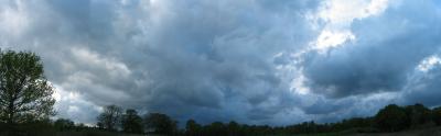 Skies