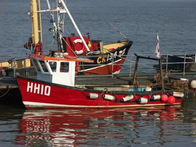 Harwich fishing fleet