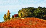 Vineyards in the fall (Hayes)