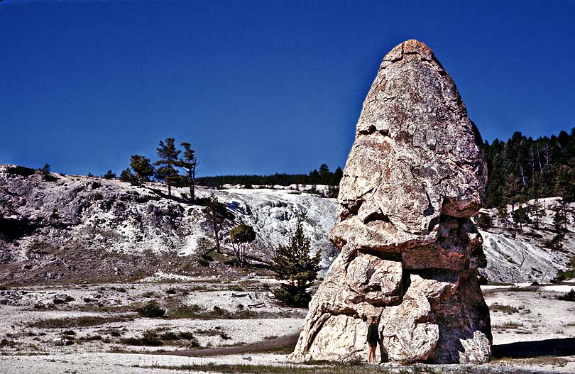 Liberty Cap