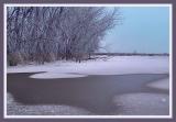 Frozen Lake In January