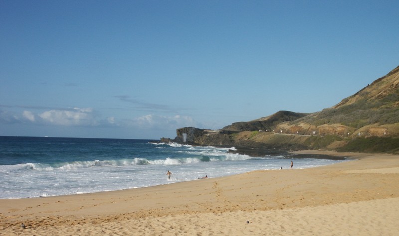 Sandys