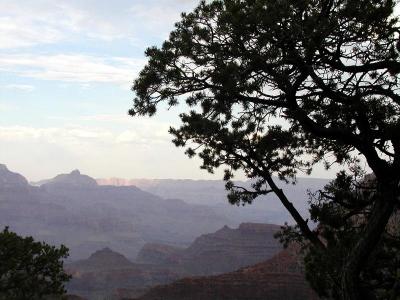 Canyon at Dawn