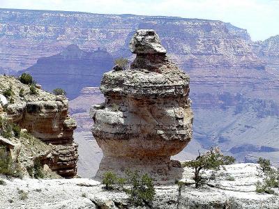 The Giant Talking Head (i.e., William Shatner) at Grand Canyon
