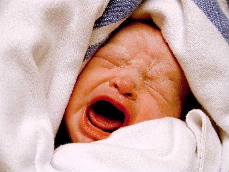 Newborn