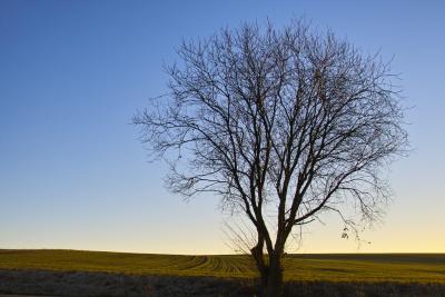 winter sunset