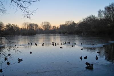 frozen lake