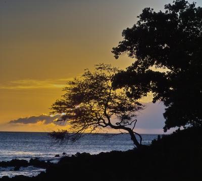 maunakea.sunset.09393.jpg