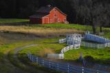 the red barn