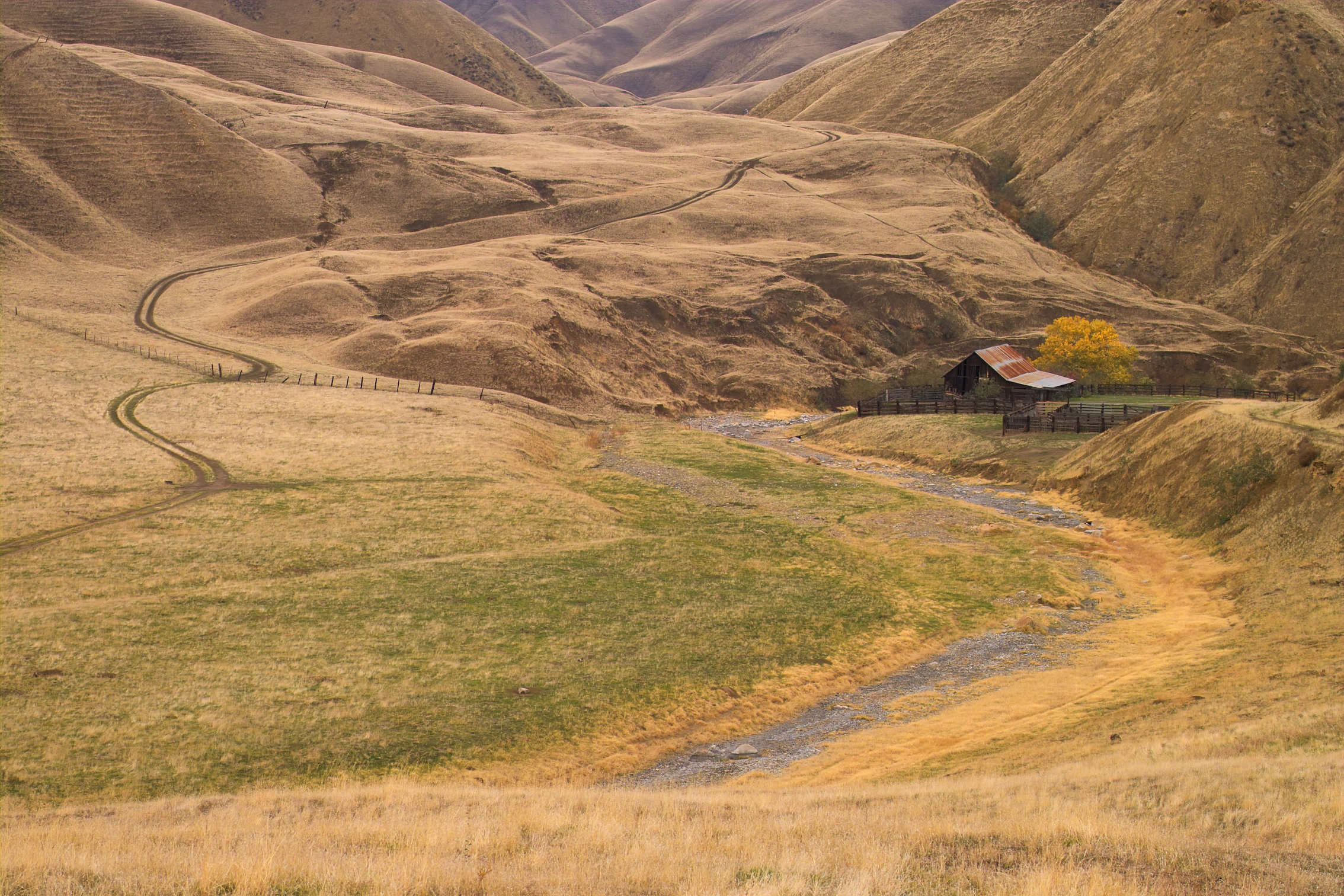 California wadi