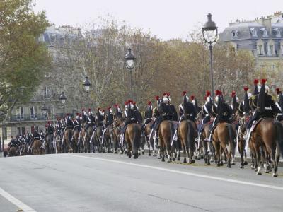 Horse parade.
