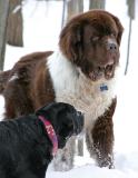 clancy and ben