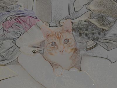 Malcolm in the laundry, using the Colored Pencil filter.