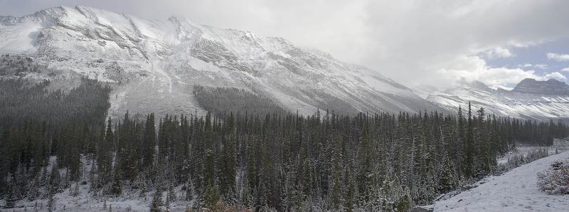 Icefield Pano 2 Small.jpg