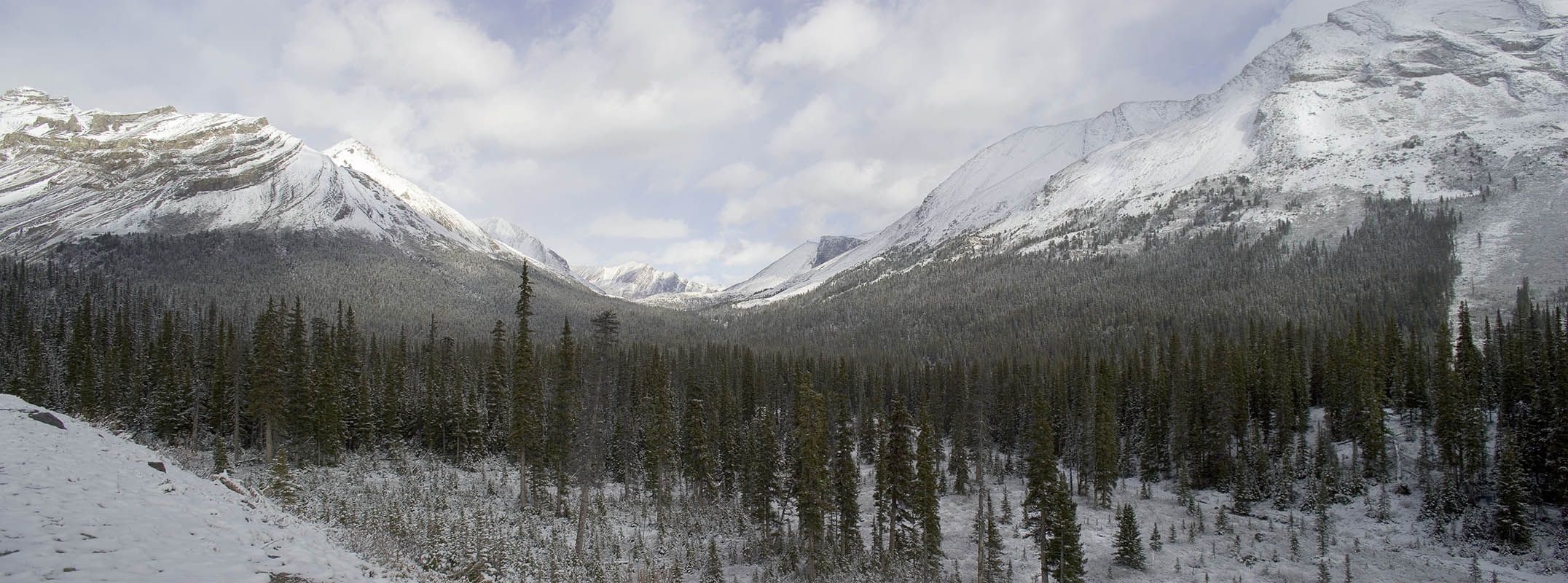 Vicinity of Columbia Icefield (Icefield Pano.jpg)