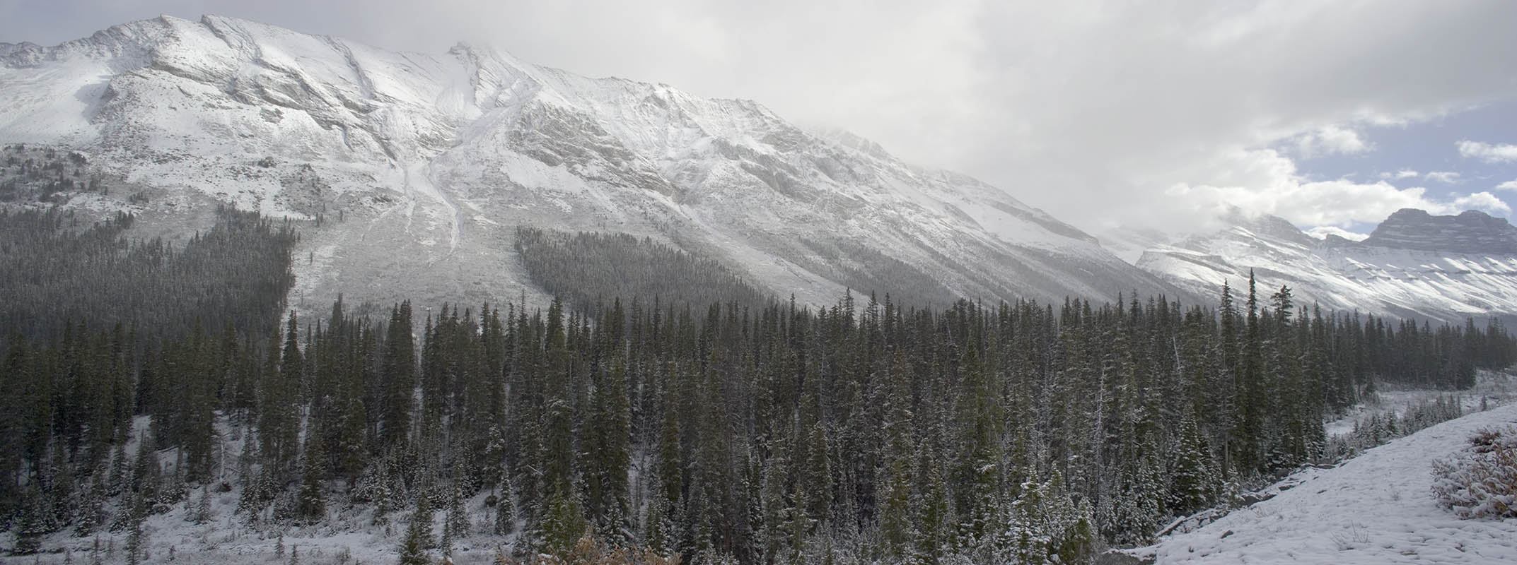 Vicinity of Columbia Icefield (Icefield Pano 2.jpg)