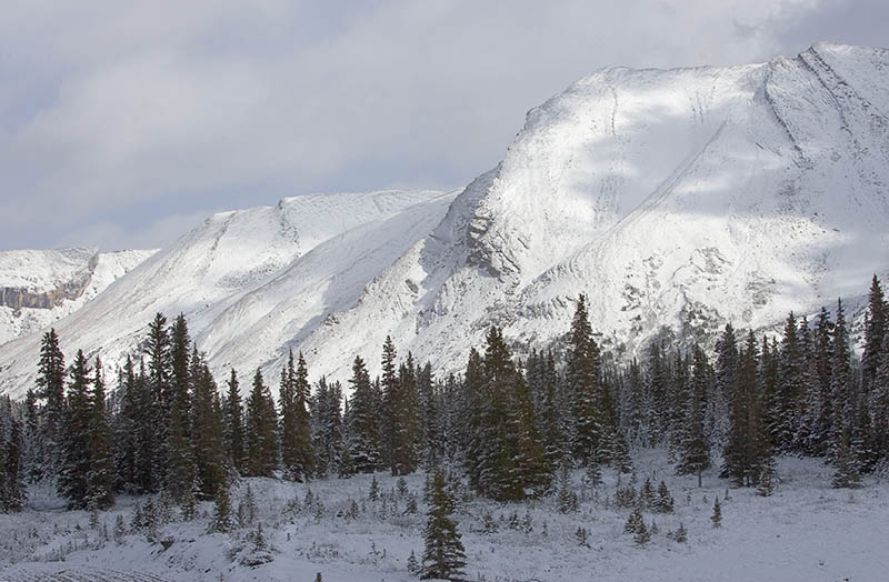 _P9E3636.jpg