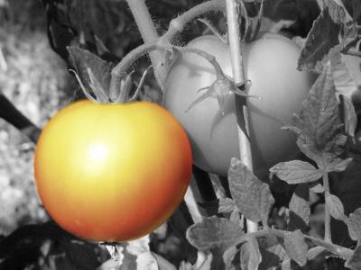 odds_and_ends