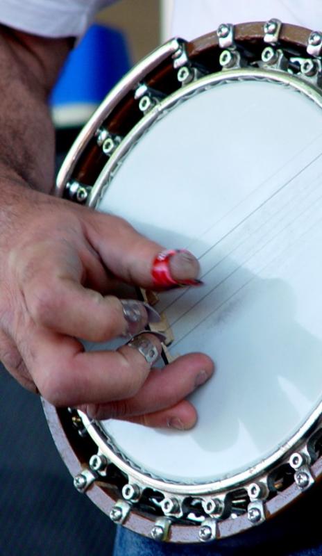 <b>Finger Pickin Good*</b><br><font size=1>by Ric Skilton
