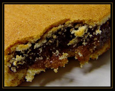 Fig Newton by Katherine Kenison