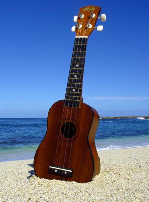 Ukulele Beach II* ~ rrehkemper