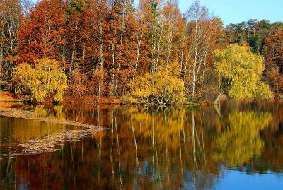 Fall Reflectionsby Klaus Wiese