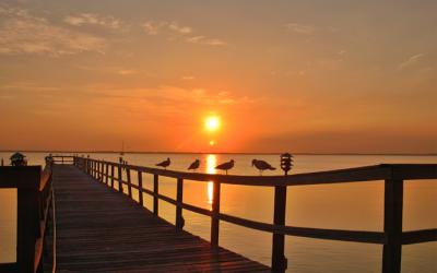Florida Sunset  by Harry Behret