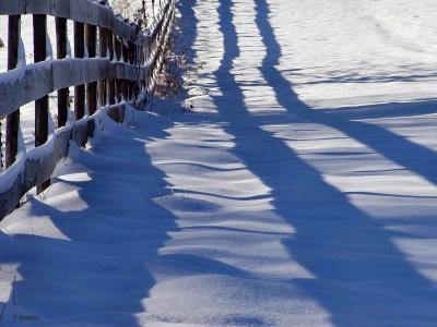 Shadow Reflections   by NC