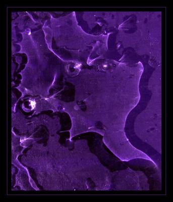 Purple Abstract*  by mlynn