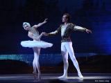 <b>ballet *</b> <i> <font size=1>by Yuri Pautov