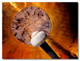 <b>Gong!<br>THE END</b>