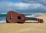 <b>First Runner Up</b><br>Ukulele Beach* ~ rrehkemper