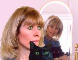 Smitten Kittens by Poignant
