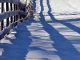 Shadow Reflections<br>   by NC