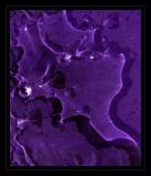 Purple Abstract* <br> by mlynn