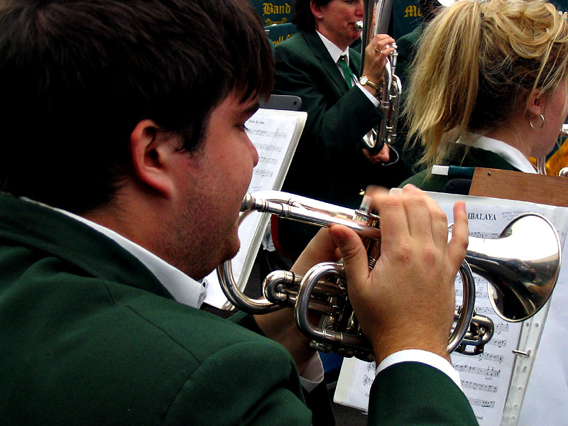 <b>And the band played on*</b><br><font size=1>by Gayle</font>