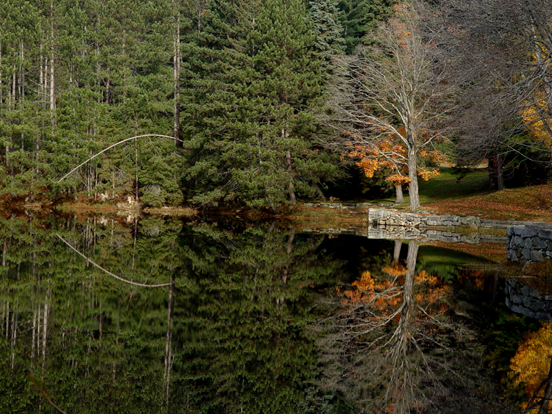 <B>Surry Pond (*)</B><BR><FONT size=2>Spider John</FONT>