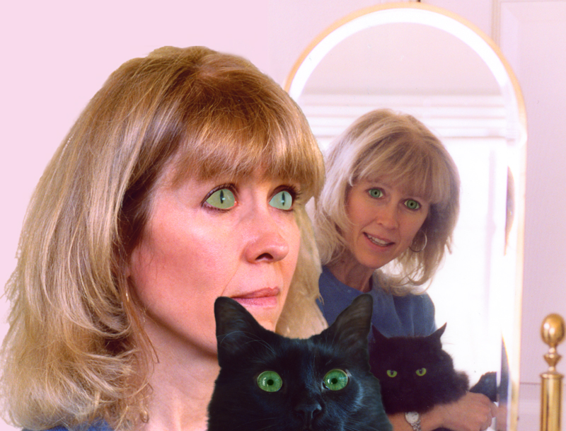 Smitten Kittens by Poignant