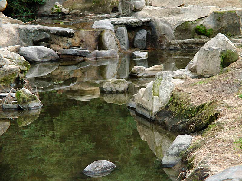 <b>Fall Pond</b><br><font size=1>JoseNoway</font>