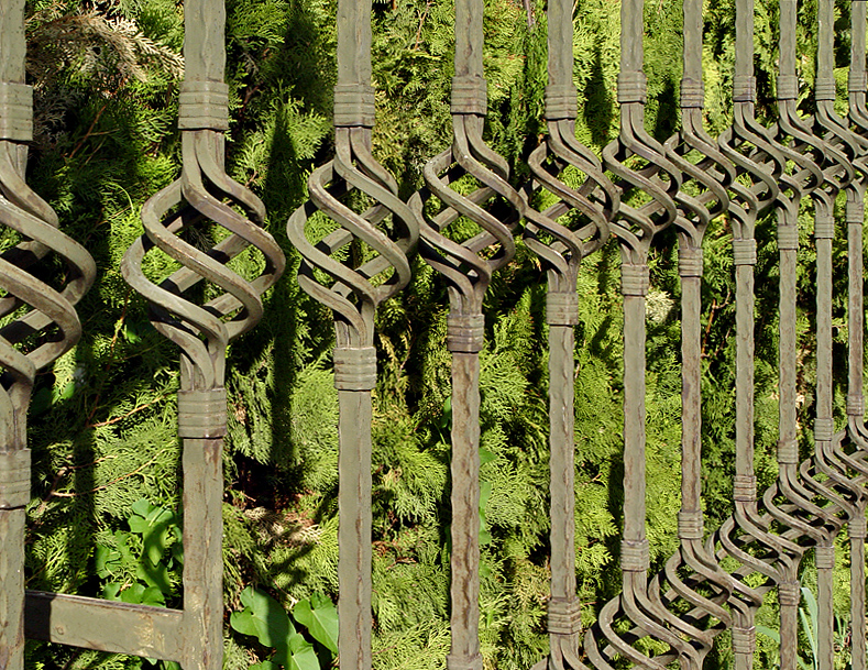 <p align=center><b> Fence Lines </b> <br> <font size=1> by Helen Betts</font></p>