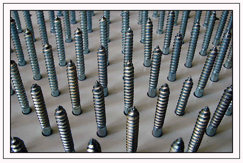 <p align=center><b>2nd (tie)<br>All Screwed Up</b><br>by Deb