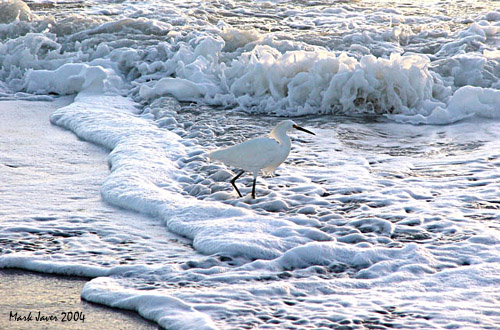 Come In, The Water Is Beautiful