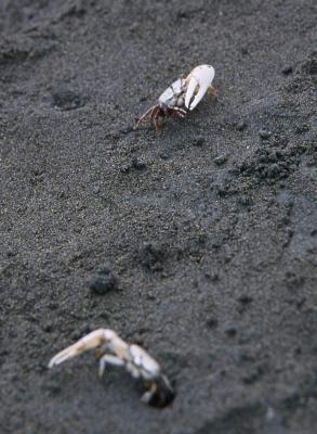 十三行遺址博物館
