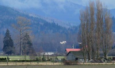 u37/sue_p/medium/26448753.227firislandfield4177.jpg