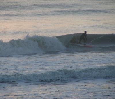 P1010007a.JPG