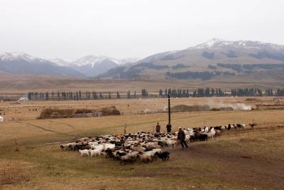 u37/syling/medium/34821159.DSC_7996.jpg